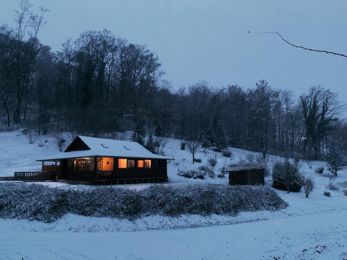 Holiday House Roko Sveti Ivan Zelina Bagian luar foto